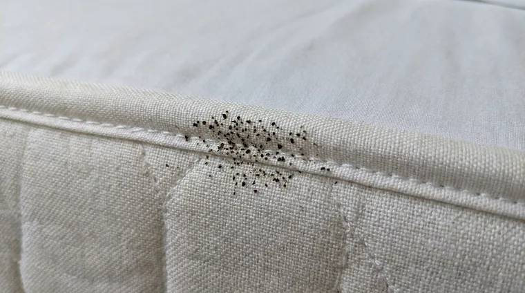 Points noirs le long d'une couture de matelas