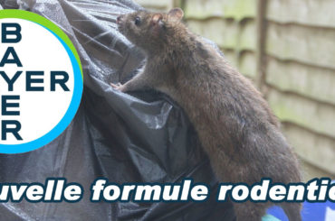 Nouveau rodenticide Bayer