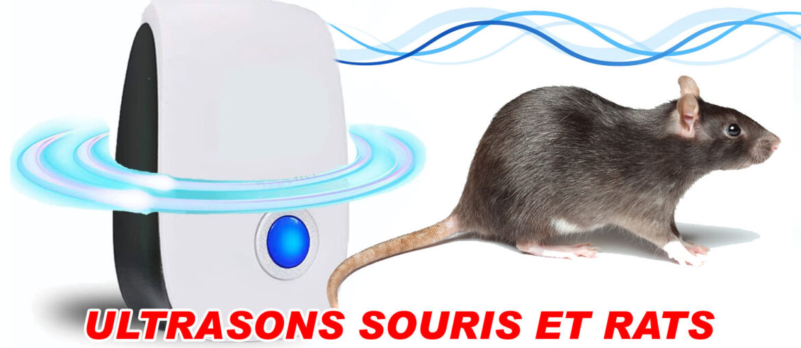 ultrasons souris et rats