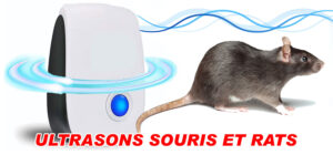Ultrasons contre les souris et les rats
