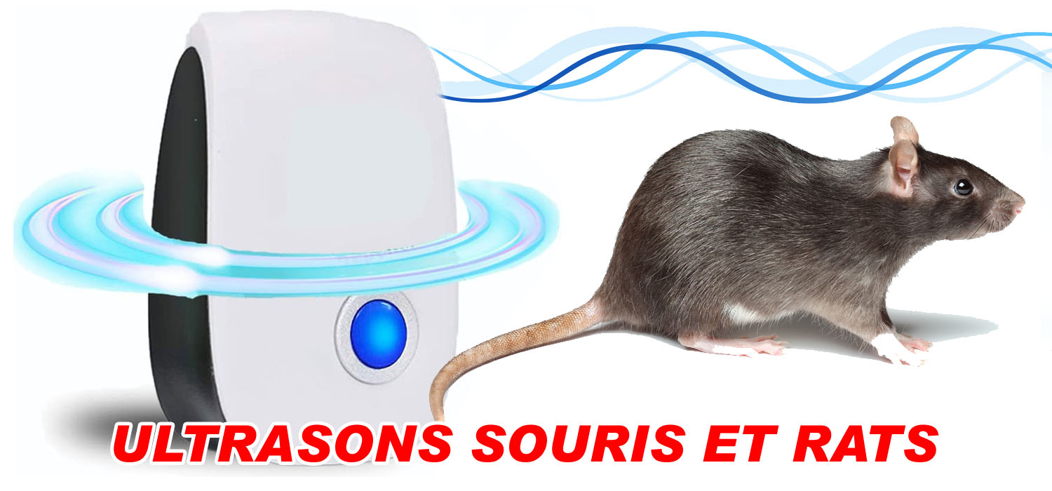 Appareils à ultrasons anti souris et rats