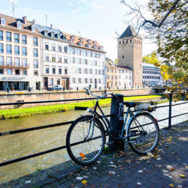 Punaises de lit à Strasbourg : on a essayé de mesurer l’ampleur du problème… et ça fait peur