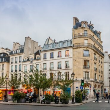 À Paris, des militants luttent pour sauver les rats