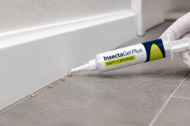 gel anti cafards