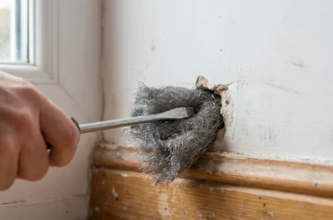 Trou dans un mur bouché avec de la laine d'acier pour empêcher les rongeurs d'entrer