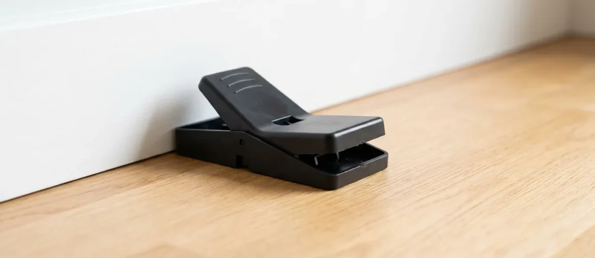 Tapette à souris moderne en plastique posée le long d'une plinthe