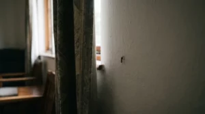 Où se cachent les moustiques (maison, journée)