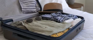 Comment viennent les punaises de lit ?