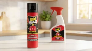 Notre avis sur Raid anti-cafard